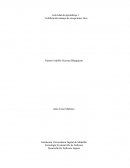 Codificación manejo de excepciones Java