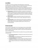 Los reflejos. El tono muscular. Motricidad de locomoción