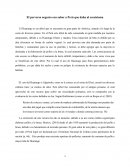 El perverso negocio con sabor a Perú que daña al ecosistema