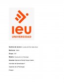 La neurona y su funcionamiento