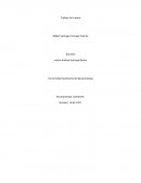 Trabajo de campo gastronomía y la alimentación