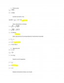 Fisica Analitica