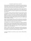 COMPLEMENTO AL TRABAJO CADENA DE SUMINISTRO