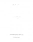 Economía Pensamiento Solidario