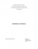 Duplicación del material genético