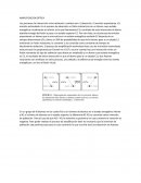 AMPLIFICACION OPTICA
