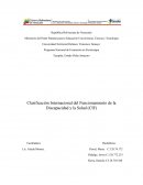Clasificación Internacional del Funcionamiento de la Discapacidad y la Salud (CIF)