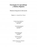 Dinámica búsqueda de información