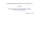 CREACIÓN DE UNA PLANTA ENSAMBLADORA DE PARTES Y VEHÍCULOS A NIVEL NACIONAL