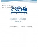 DIRECCIÓN Y LIDERAZGO ACTIVIDAD 1