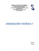 PROGRAMA DE EXTENSIÓN MUNICIPALIZADO . INGENIERIA CIVIL