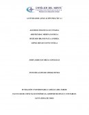 Actividad de aplicación práctica Costo variable