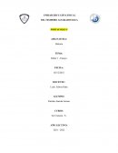 Ensayo de la Inclusión e Integridad