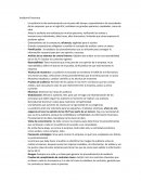 Auditoría Financiera.Análisis vertical