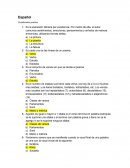 Español Cuestionario practico