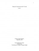 Trabajo de Comunicación Oral Y Escrita