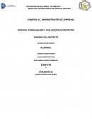 GUÍA PARA LA ELBORACIÓN DEL PROYECTO