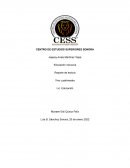 Las necesidades educativas especiales como necesidades básicas