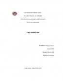 La inmovilidad laboral en Venezuela