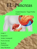Páncreas (Biologia)