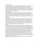 Ensayo- Hardware-sotfware