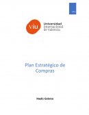 Plan de accion comercial