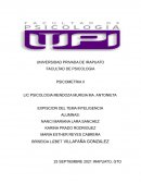 INTELIGENCIA CARACTERÍSTICAS Y MEDICION