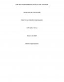 Prácticas Preprofesionales: Plan de clima laboral