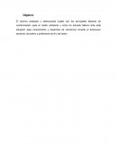 PRINCIPALES PROBLEMAS AMBIENTALES