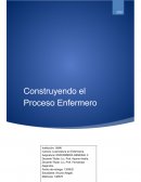 Construyendo el proceso enfermero
