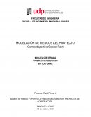 MANEJO DE RIESGO Y APOYO A LA TOMA DE DECISIONES EN PROYECTOS DE CONSTRUCCIÓN