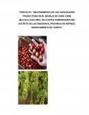 PROYECTO: “MEJORAMIENTO DE LAS CAPACIDADES PRODUCTIVAS EN EL MANEJO DE CAMU CAMU (Myrciaria dubia HBK), EN CUATRO COMUNIDADES DEL DISTRITO DE LAS AMAZONAS, PROVINCIA DE MAYNAS, DEPARTAMENTO DE LORETO”