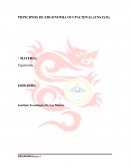 PRINCIPIOS DE ERGONOMIA OCUPACIONAL