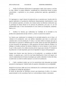 Agronegocios y cadenas productivas