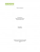 Plan de estimulación