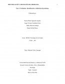 Fase 1- Preliminar: Identificación y definición del problema