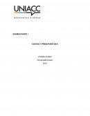 COSTOS Y PRESUPUESTOS II Contador Auditor