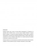 Proceso de transformación digital. Empresa: Simbiosis Agrícola S.A de C.V