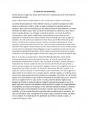 El color de las mariposas