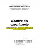 Borrador de informe de expo-física