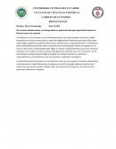 Preguntas de microeconomía. PRESUPUESTOS