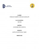 SOSTENIBILIDAD LOGÍSTICA