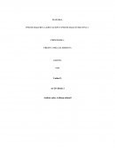 Unidad 2 actividad 3 psicologia de la educacion