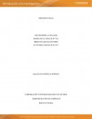 EQUILIBRIO DE MERCADO