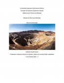 Manejo de Recursos Naturales. Recursos minerales