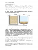 Características reactor biológico de fangos activos