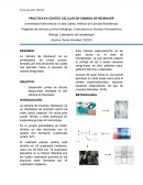 PRACTICA # 6 CONTEO CELULAR EN CÁMARA DE NEUBAUER