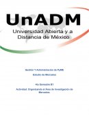 Organizando el Área de Investigación de Mercados