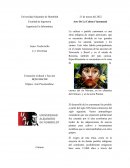 Arte De La Cultura Yanomami