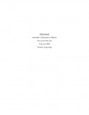 Calidad de la educación en México